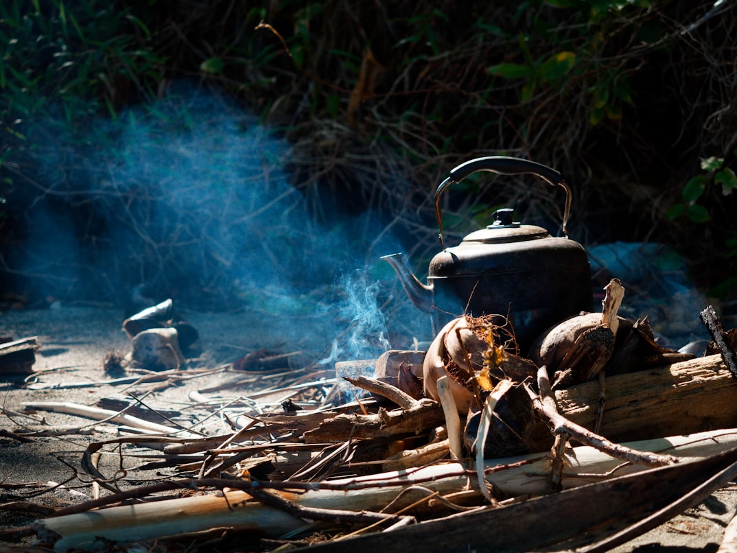 Wildkochen – Kochen in der freien Natur am Lagerfeuer